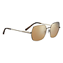 Loy Non Polarized